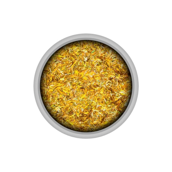 Glitter Colormake Shine Filete Ouro 2g